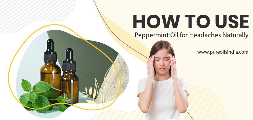 .Peppermint Oil for Headaches Naturally
