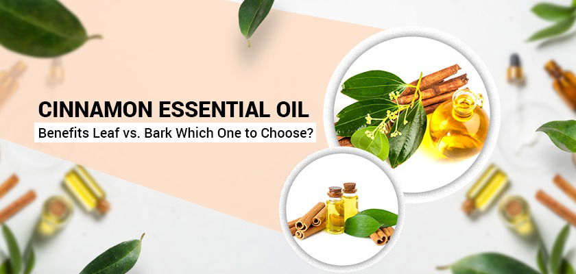 .Cinnamon Oil Benefits: Leaf vs. Bark